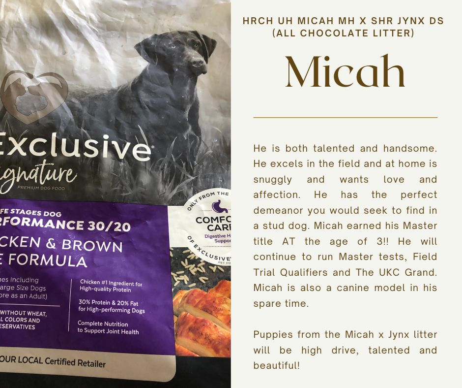 Micah x Jynx dogfood