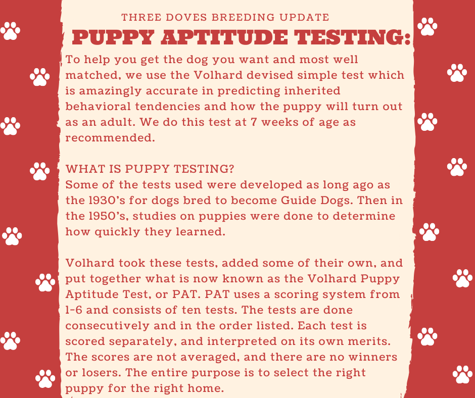 Puppy Aptitude Test