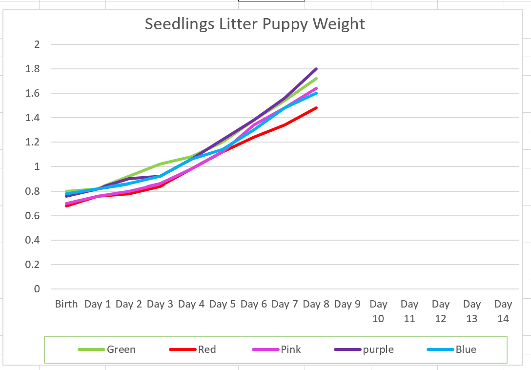 Day 8 Seedlings weight