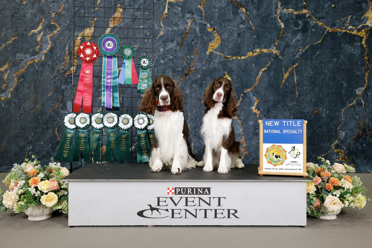 BlazE and Aster at the ESSFTA National