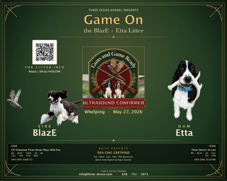 BlazE x Etta Game On Litter