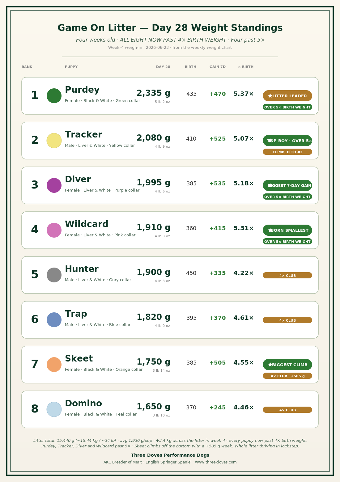 Game On Litter — Day 28 Weight Standings: all eight puppies ranked, with four-week weights, seven-day gain, and multiple of birth weight.