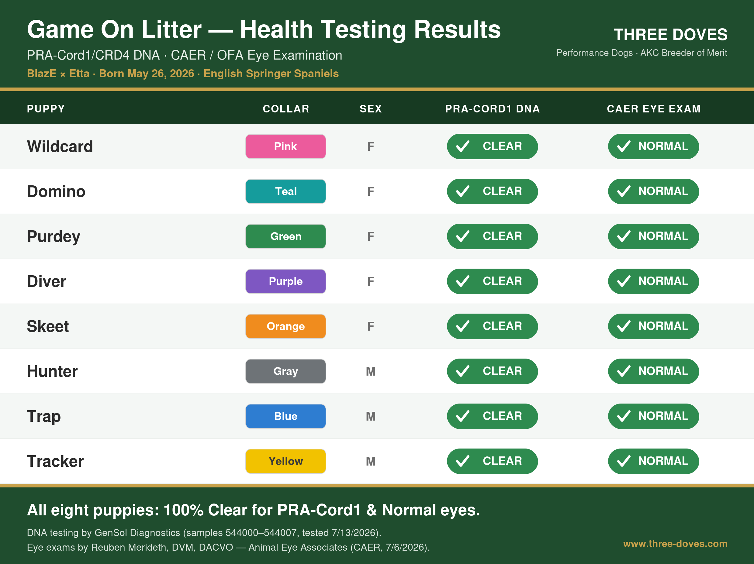 Results chart: all eight puppies Clear for PRA-Cord1 and Normal on the CAER eye exam.
