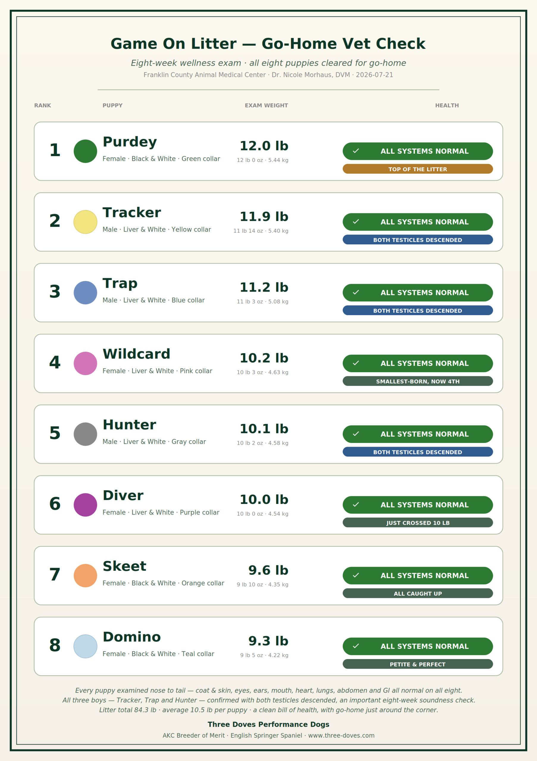 Game On Litter go-home vet check chart — all eight puppies ranked by eight-week exam weight, each marked all systems normal.