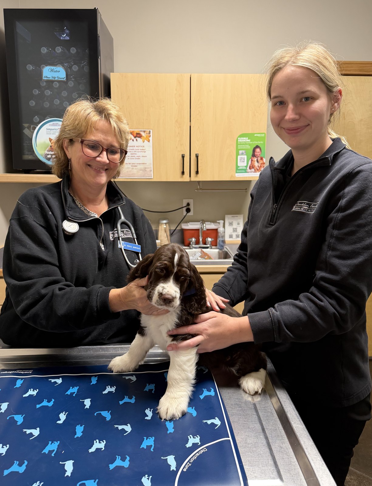 Dr. Nicole Morhaus, DVM and a veterinary technician at Franklin County Animal Medical Center holding a liver-and-white English Springer Spaniel puppy on the exam table.