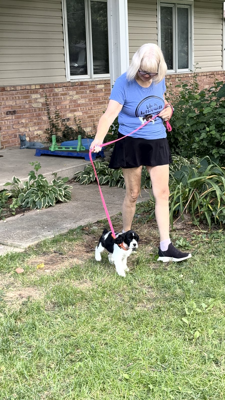 Terra Collver walking a black-and-white Springer Spaniel puppy on a pink leash beside the house.