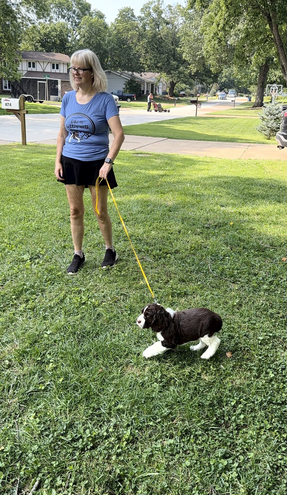 Terra Collver walking a liver-and-white Springer Spaniel puppy on a yellow leash across a front lawn.